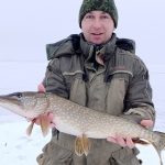 щука Селец рыбалка