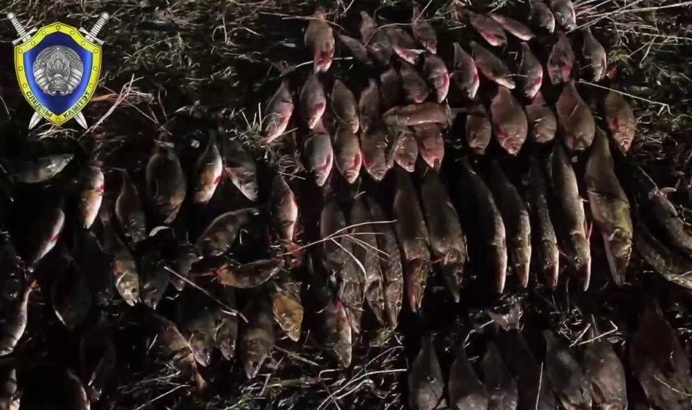 В Ивановском районе поймали браконьеров Улов браконьеров сетями в Ивановском районе