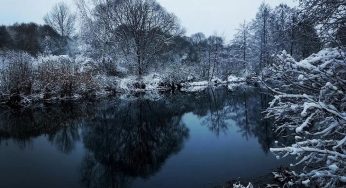 Прогноз погоды на неделю в Брестской области: что нас ждёт?