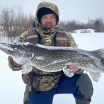 Хорошие щуки ловятся в Беларуси в январе 2024