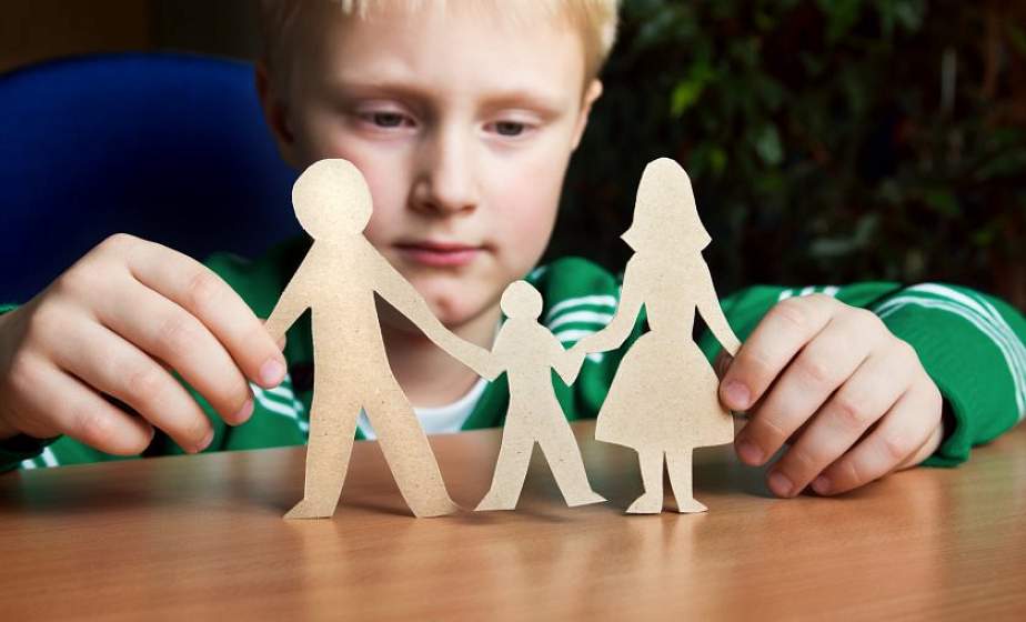 За что изымали детей из семей в Брестской области в 2023 году?