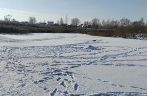 Зимний водоём в Гродненской области