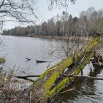 Белоозёрск рыбалка погода