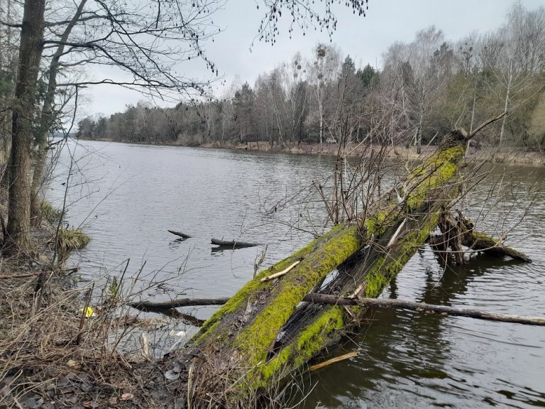 Белоозёрск рыбалка погода