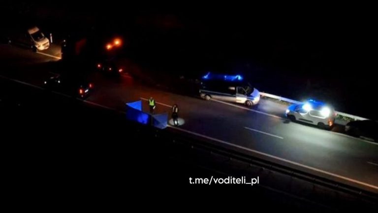 польских фермеров сбил человека