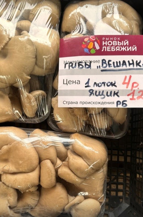 грибы рынок