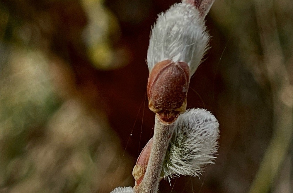 Какая погода будет на выходных после 8 марта погода