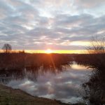 Рассвет погода Беларуси