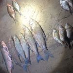 Улов браконьера в Слонимском районе