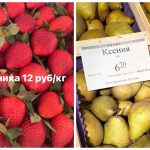 Какие цены на рынках в Беларуси 19 апреля 2024 года Таборы Минск Барановичи Ивацевичи