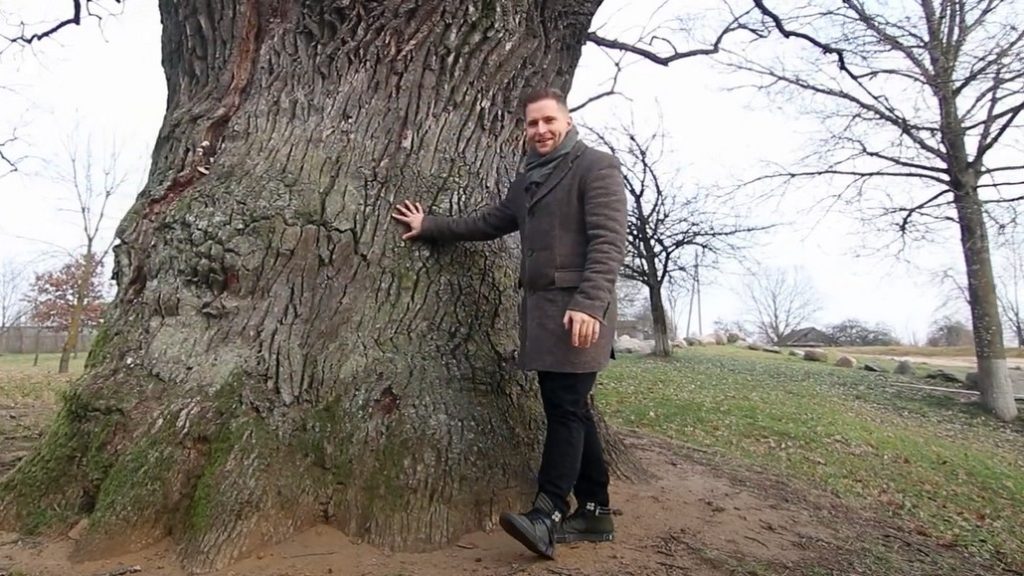 Как из коры дуба сделать лекарство для мужчин и женщин дуб