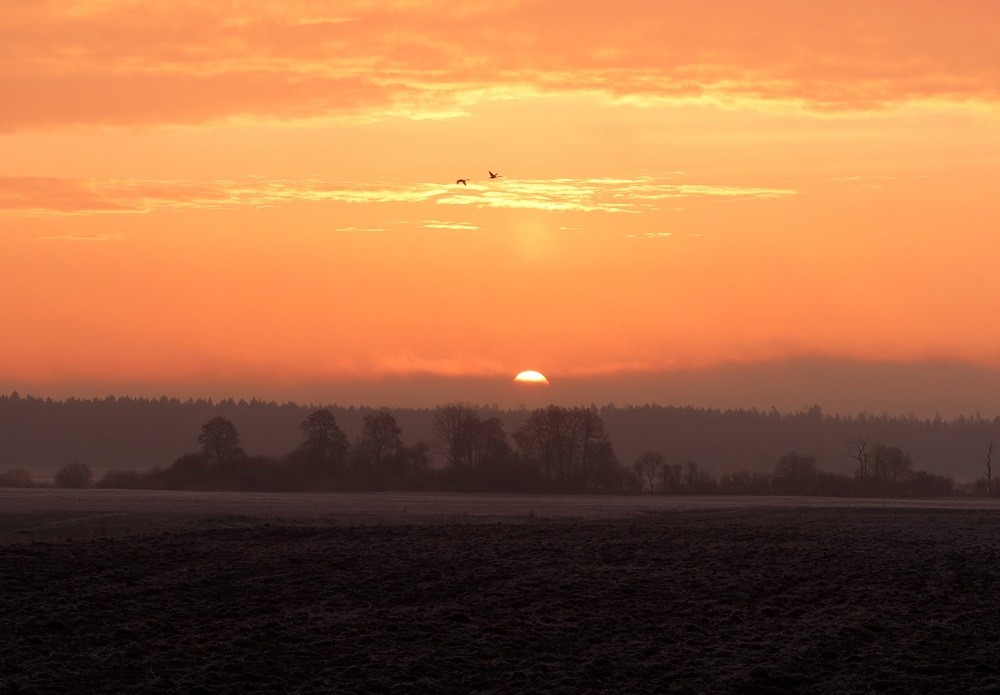 Тепло вернётся: погода на последних выходных апреля Погода в конце апреля в Беларуси
