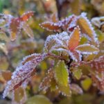 Погода в Беларуси