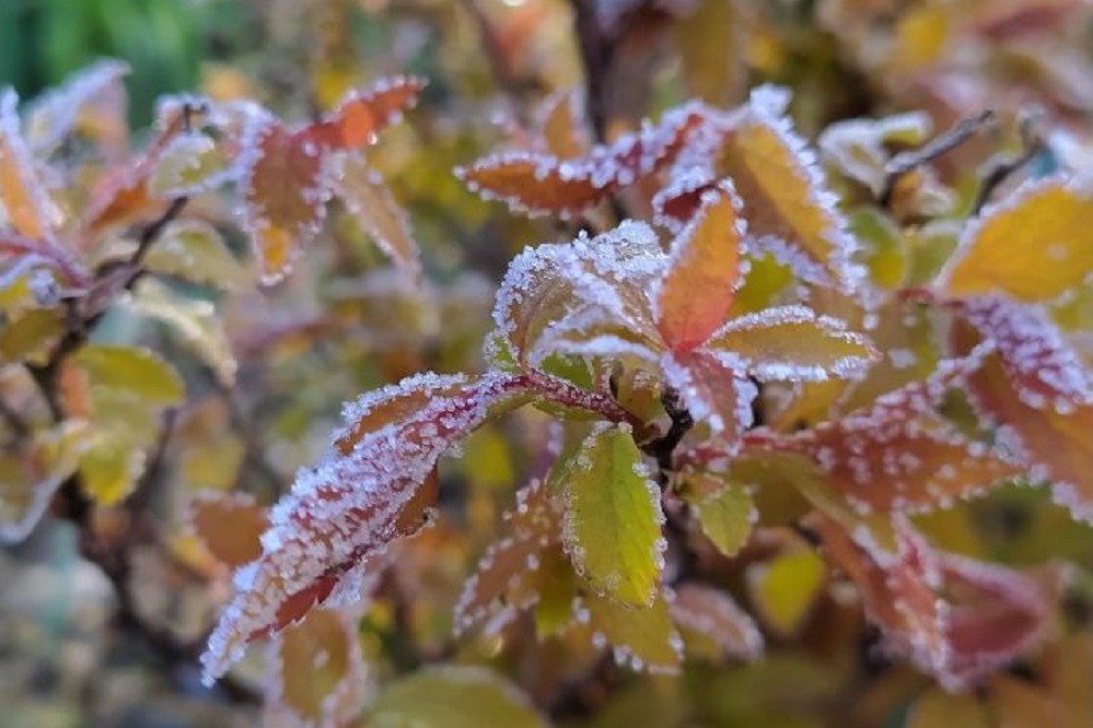 Начнёт ли теплеть в начале недели 22-24 апреля? Погода в Беларуси