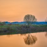 Пыль из Сахары долетела до Беларуси