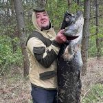 Огромного сома поймал рыбак из Дрогичина Брестской области