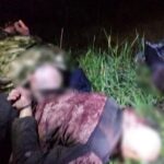 Грабители фур