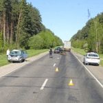 Лося сбили в Ивацевичском районе 1 мая 2024 года