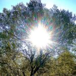 Погода в Беларуси