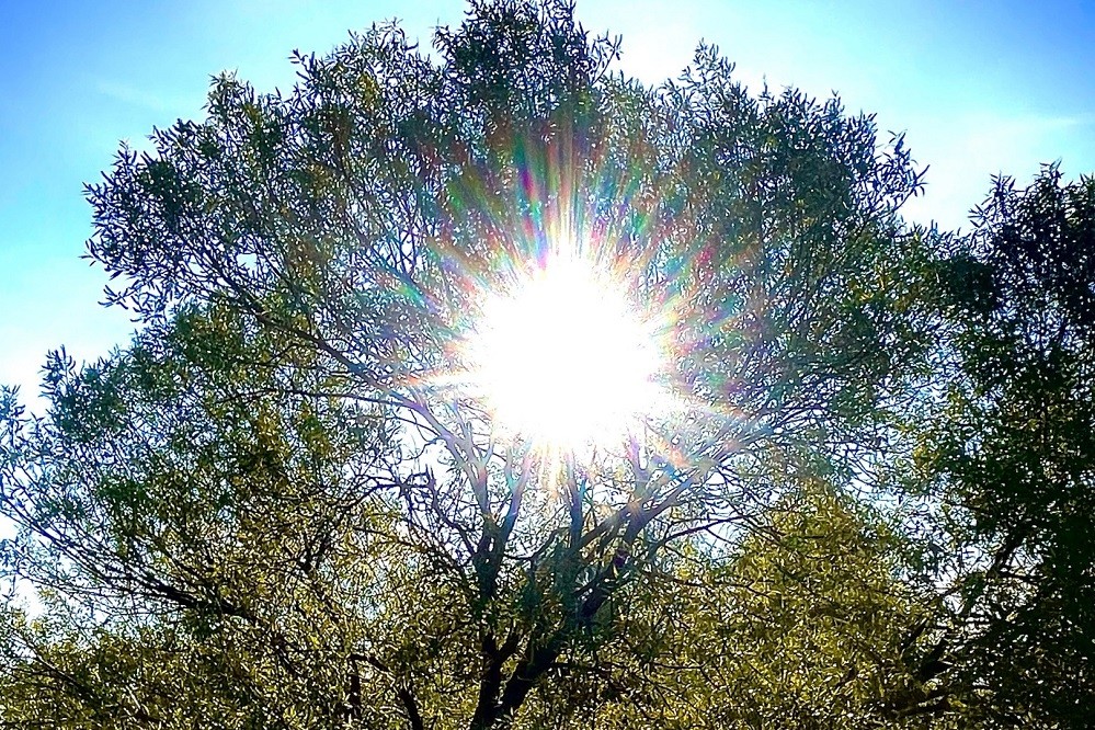 И грозы, и заморозки: какая погода будет в пятницу и на выходных 17-19 мая Погода в Беларуси