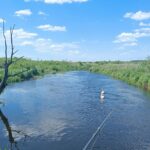 Река Лесная погода в Беларуси