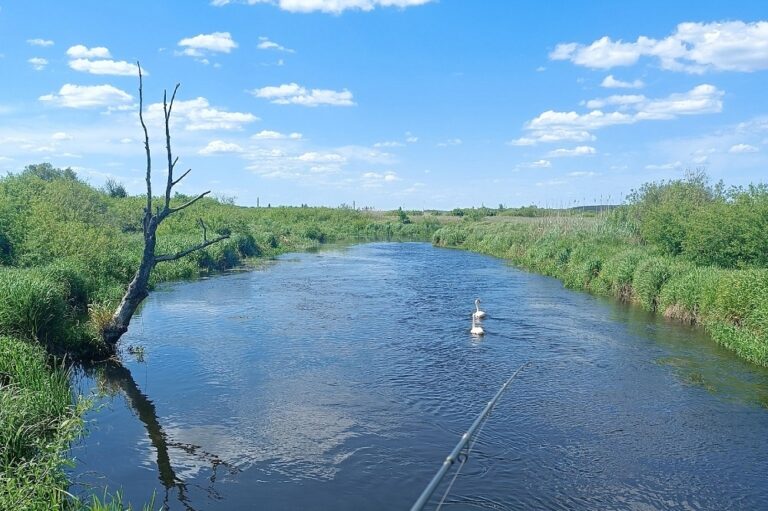 Река Лесная погода в Беларуси