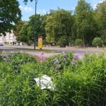 В Берёзе придумали способ, как отвадить любителей гадить на клумбах