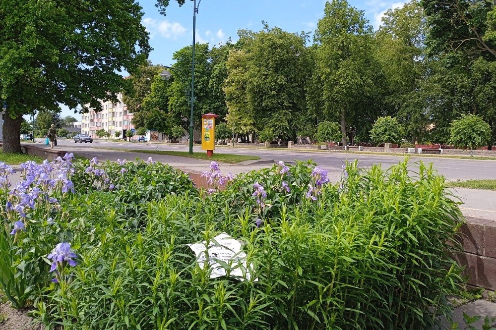 Фотофакт: в Берёзе придумали способ, как отвадить любителей гадить на клумбах В Берёзе придумали способ, как отвадить любителей гадить на клумбах