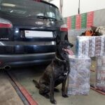 Собака нашла контрабанду у белоруса