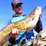 рыбачат в Беларуси сом щука