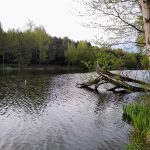 Река в Беларуси. Погода