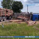 Лесовоз сбил девочку в Рогачёвском районе