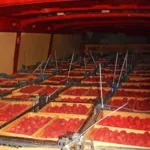 Малина из Беларуси