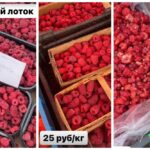 Цены на малину на рынке