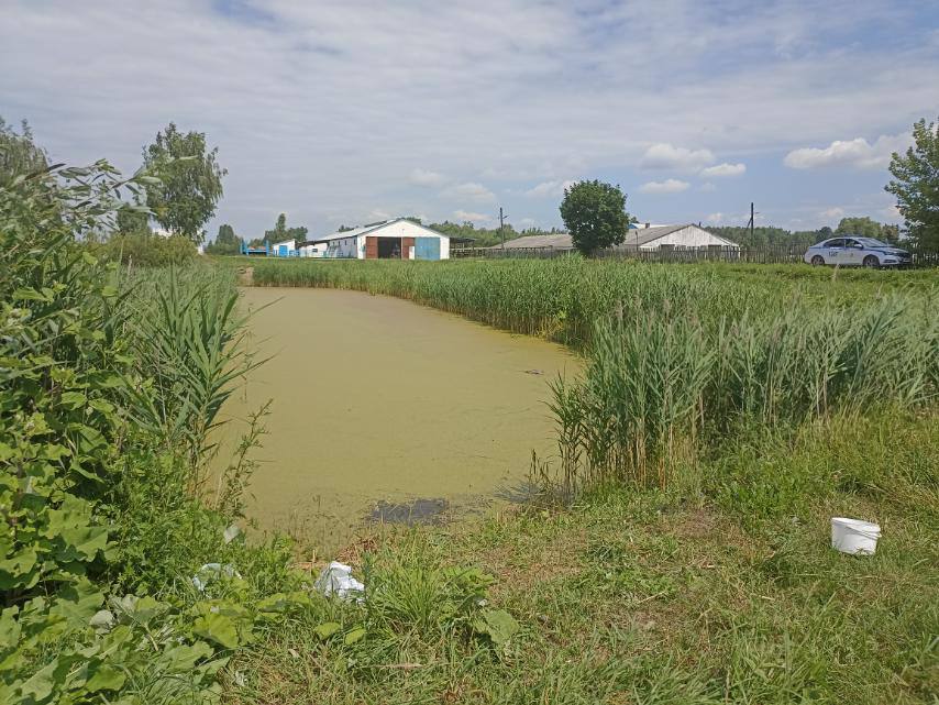 В Дрогичинском и Пинском районах утонули люди