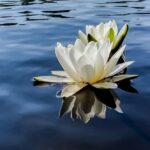 погода в Беларуси