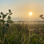 Погода в Беларуси в июне