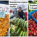 Какие цены на рынках в Беларуси 5 июля