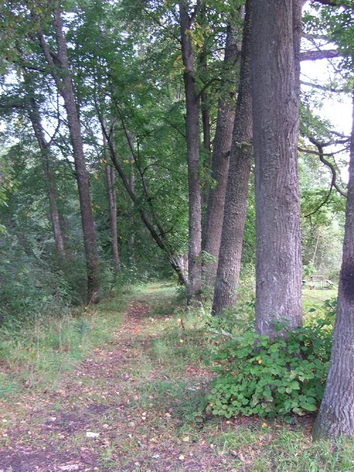 К дворцу через сад ведет въездная липовая аллея