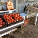 Магазин в Лунинецком районе