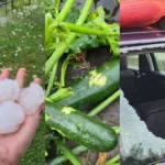 Последствия стихии