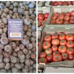 почём ягоды