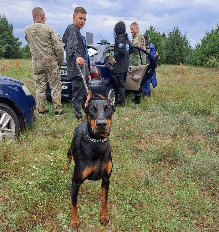 Кинологи очень важны