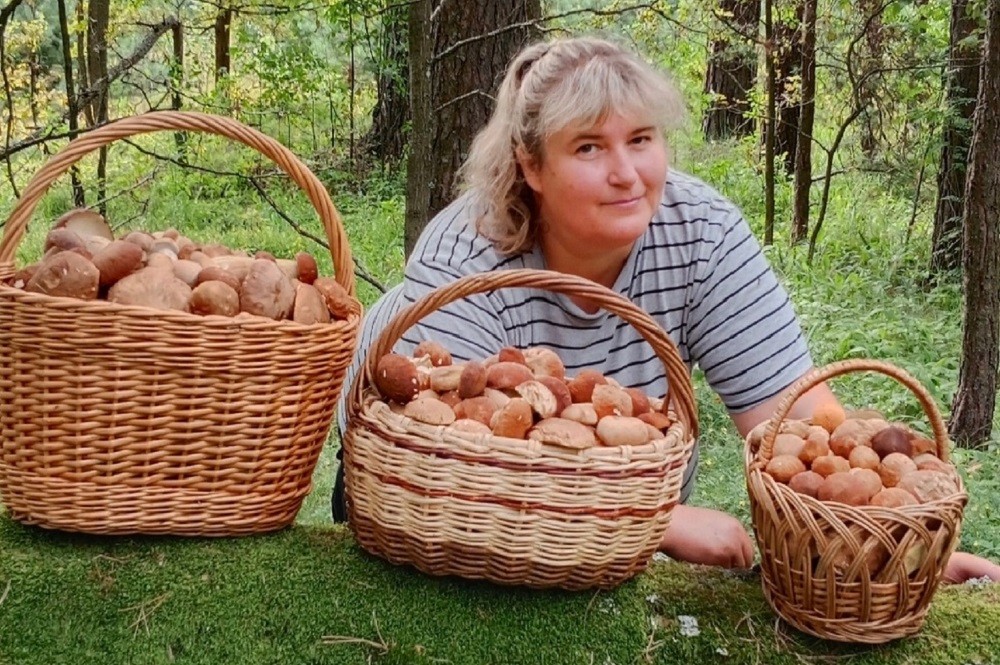 Волна боровиков стартанула, показали грибники Беларуси