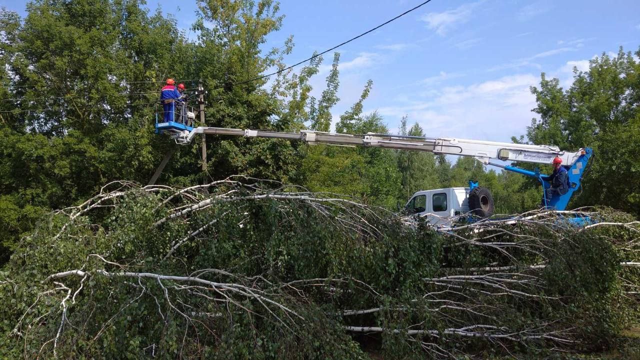 Как получить возмещение ущерба, если дерево упало на автомобиль