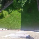 Женщина в Солигорске выбросила собаку в окно