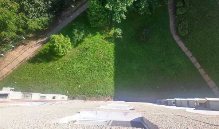 Женщина выбросила собаку с 9 этажа Женщина в Солигорске выбросила собаку в окно