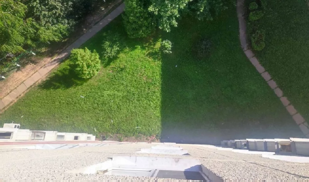 Женщина в Солигорске выбросила собаку в окно