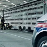 Спасать свиней приехали дальнобойщики