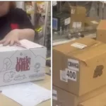 Животные в коробках